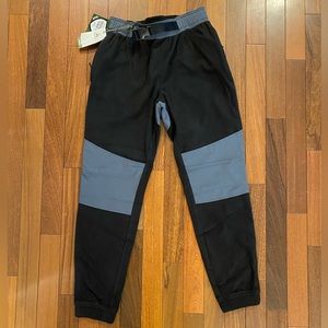 Ascend Microfleece Pants